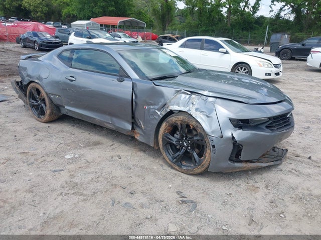 2019 1G1FB1RX3K0130019 zdjęcie główne