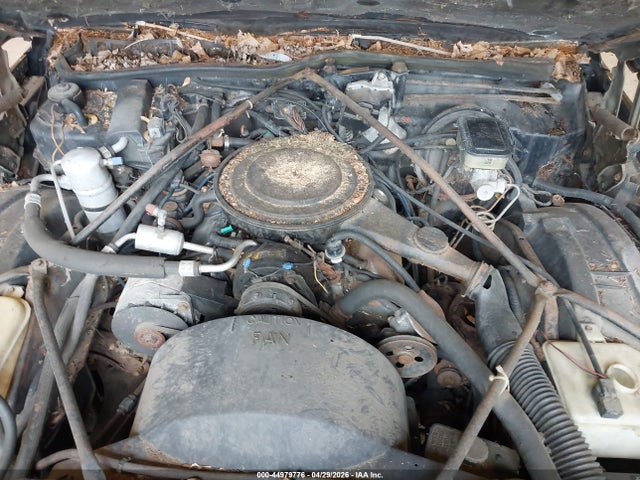 44979776 :رقم المزاد ، 1G6AD6981C9133857 vin ، 1982 Cadillac Deville مزاد بيع
