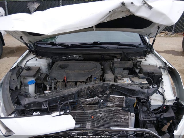 Auction sale of the 2019 Hyundai Sonata Sport, vin: 5NPE34AF2KH791791, lot number: 44979802