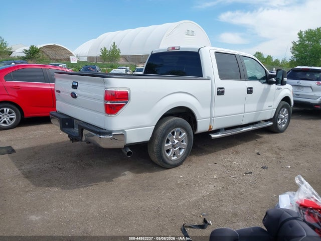 44982237 :رقم المزاد ، 1FTFW1CT4DFC71764 vin ، 2013 Ford F-150 Xlt مزاد بيع