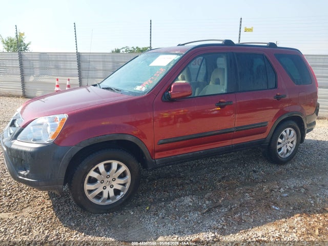 2006 Honda Cr-v Ex მანქანა იყიდება აუქციონზე, vin: SHSRD78816U411781, აუქციონის ნომერი: 44983558