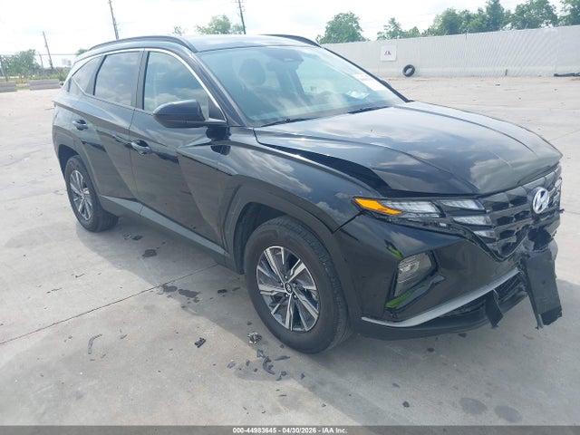 Hyundai Tucson Hybrid Blue 2024 KM8JBCD16RU224474 main image