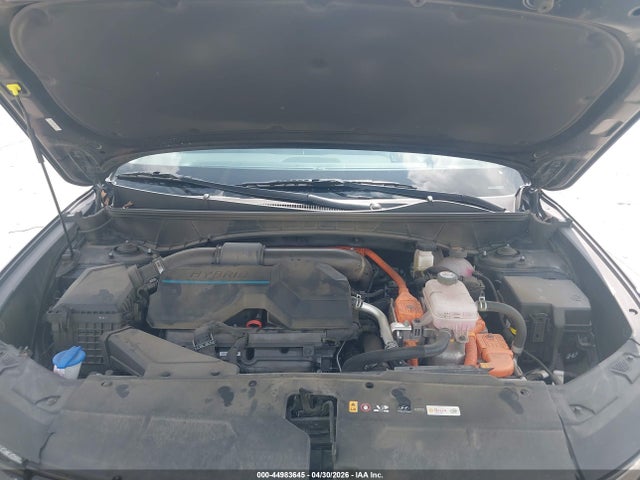 Hyundai Tucson Hybrid Blue 2024 KM8JBCD16RU224474 Image 10