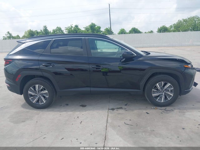 Hyundai Tucson Hybrid Blue 2024 KM8JBCD16RU224474 Image 13