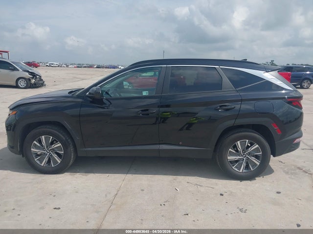 Hyundai Tucson Hybrid Blue 2024 KM8JBCD16RU224474 Image 14