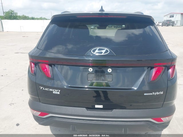 Hyundai Tucson Hybrid Blue 2024 KM8JBCD16RU224474 Image 16
