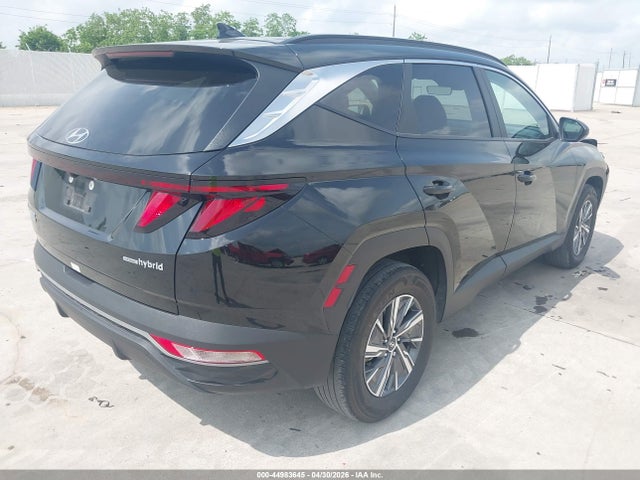 Hyundai Tucson Hybrid Blue 2024 KM8JBCD16RU224474 Image 4