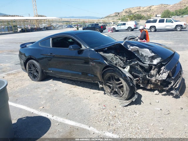 Ford MUSTANG GT 2019 1FA6P8CF3K5123372 Image 13
