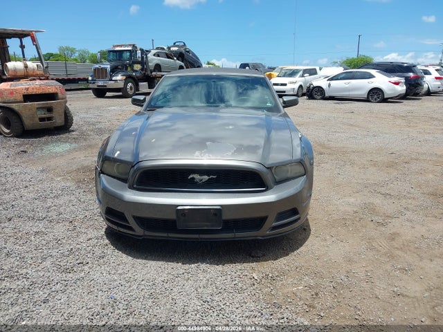 44984906 :رقم المزاد ، 1ZVBP8EM4D5264813 vin ، 2013 Ford Mustang V6 Premium مزاد بيع