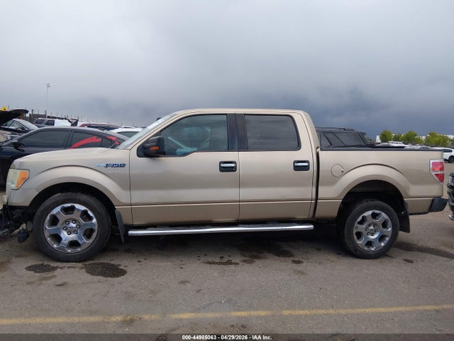 44985063 :رقم المزاد ، 1FTFW1CF2CFC76454 vin ، 2012 Ford F-150 Xlt مزاد بيع