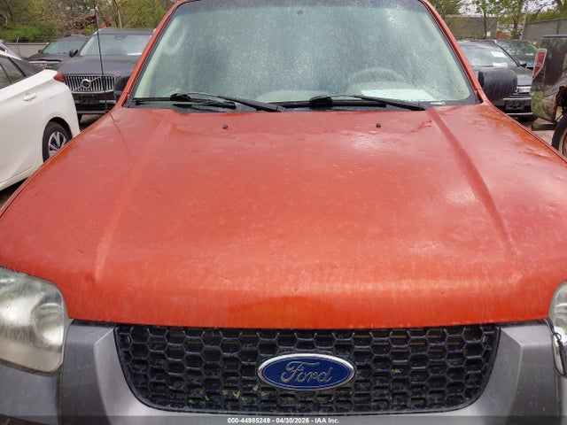 Продаж на аукціоні авто 2006 Ford Escape Xlt/xlt Sport, vin: 1FMYU93166KB10348, номер лоту: 44985249