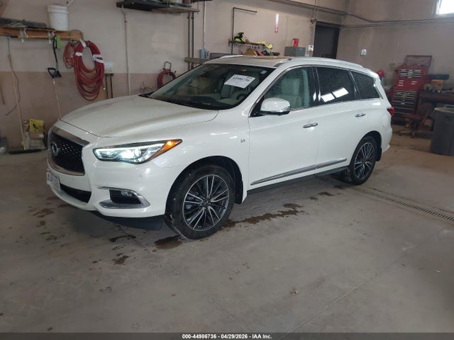 2019 Infiniti Qx60 Luxe/pure მანქანა იყიდება აუქციონზე, vin: 5N1DL0MM3KC529879, აუქციონის ნომერი: 44986736
