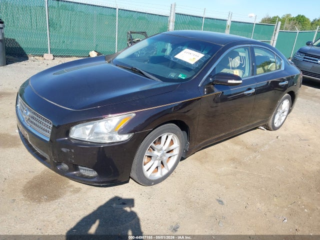 Aukcja sprzedaży 2011 Nissan Maxima 3.5 Sv, vin: 1N4AA5AP9BC843731, numer aukcji: 44987155