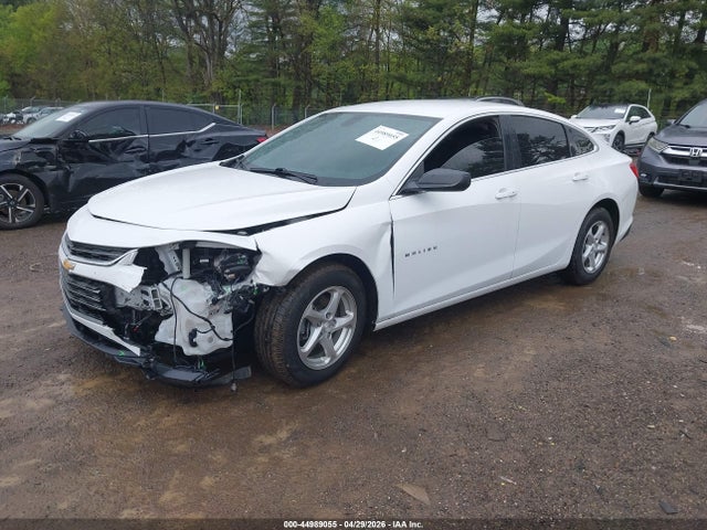 2018 Chevrolet Malibu 1fl მანქანა იყიდება აუქციონზე, vin: 1G1ZC5STXJF242143, აუქციონის ნომერი: 44989055