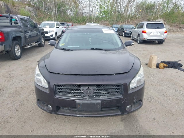 Продажа на аукционе авто 2010 Nissan Maxima 3.5 Sv, vin: 1N4AA5AP8AC835828, номер лота: 44991547
