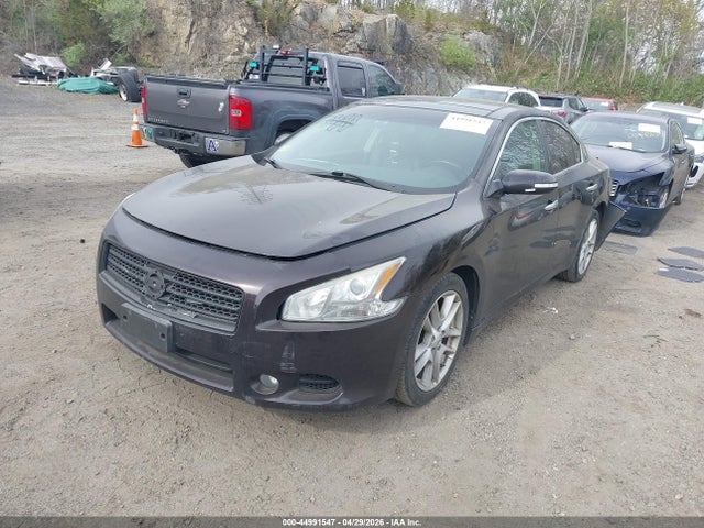 Продажа на аукционе авто 2010 Nissan Maxima 3.5 Sv, vin: 1N4AA5AP8AC835828, номер лота: 44991547
