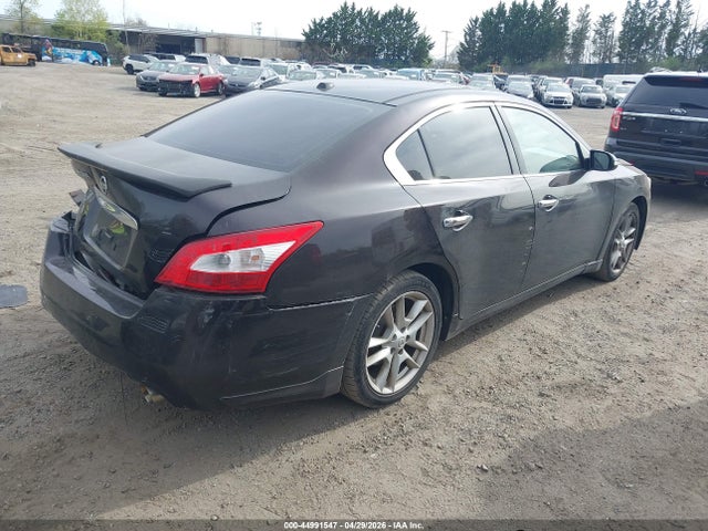 Продажа на аукционе авто 2010 Nissan Maxima 3.5 Sv, vin: 1N4AA5AP8AC835828, номер лота: 44991547