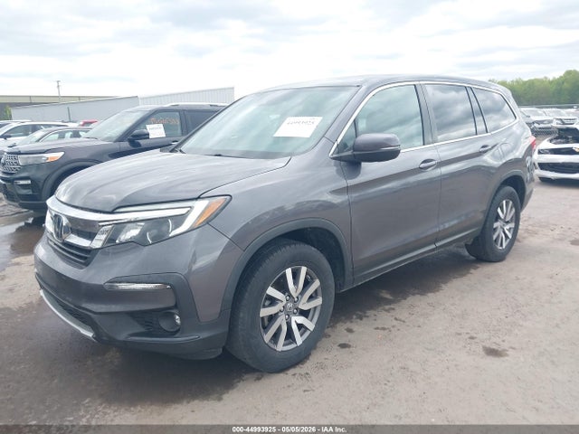 Продажа на аукционе авто 2019 Honda Pilot Ex-l, vin: 5FNYF6H52KB048365, номер лота: 44993925