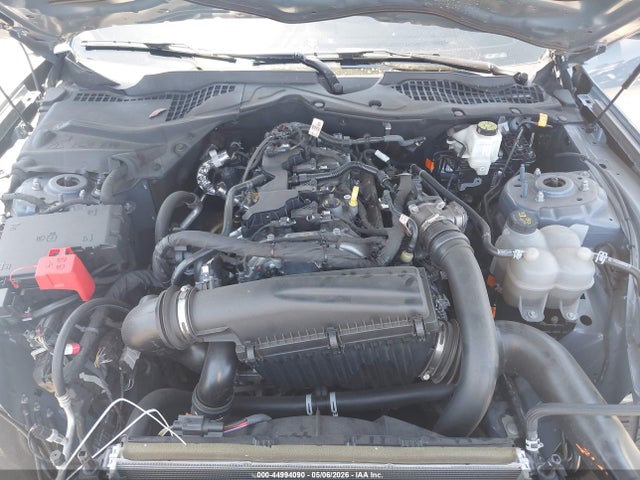 Ford Mustang Ecoboost Fastback 2024 1FA6P8TH6R5146625 Image 10
