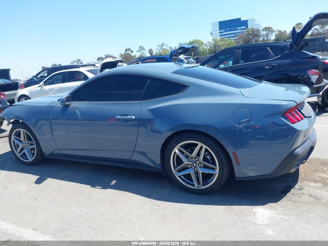 Ford Mustang Ecoboost Fastback 2024 1FA6P8TH6R5146625 Image 15