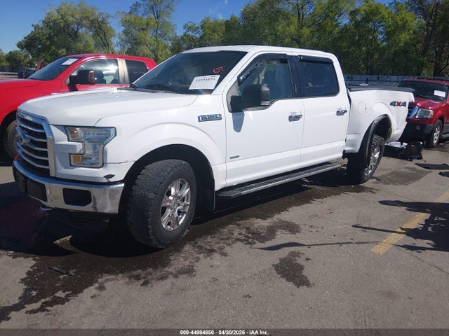 1FTEW1EG2FKE75629 Ford F-150 Xlt