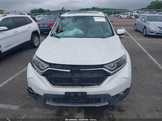 44995582 :رقم المزاد ، JHLRW2H80KX020998 vin ، 2019 Honda Cr-v Ex-l مزاد بيع