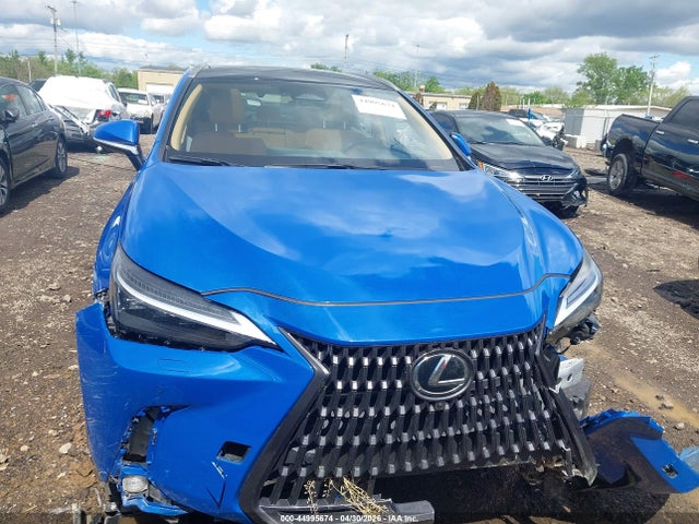 Продажа на аукционе авто 2025 Lexus Nx 350h Luxury, vin: JTJHKCEZ5S2069759, номер лота: 44995674