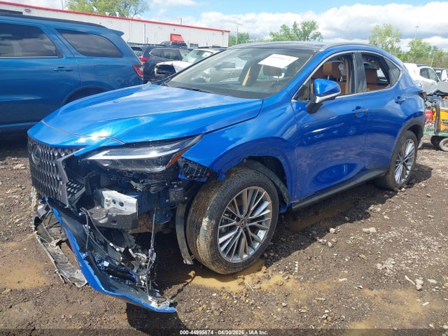 Продажа на аукционе авто 2025 Lexus Nx 350h Luxury, vin: JTJHKCEZ5S2069759, номер лота: 44995674