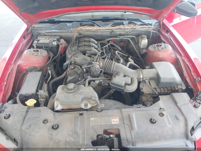 Aukcja sprzedaży 2014 Ford Mustang V6, vin: 1ZVBP8AM8E5259413, numer aukcji: 44996074