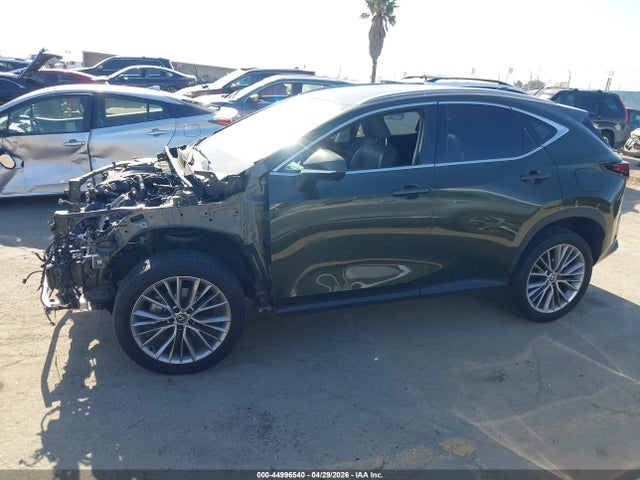 Lexus Nx 350 Luxury 2024 2T2HGCEZ2RC054941 Image 15