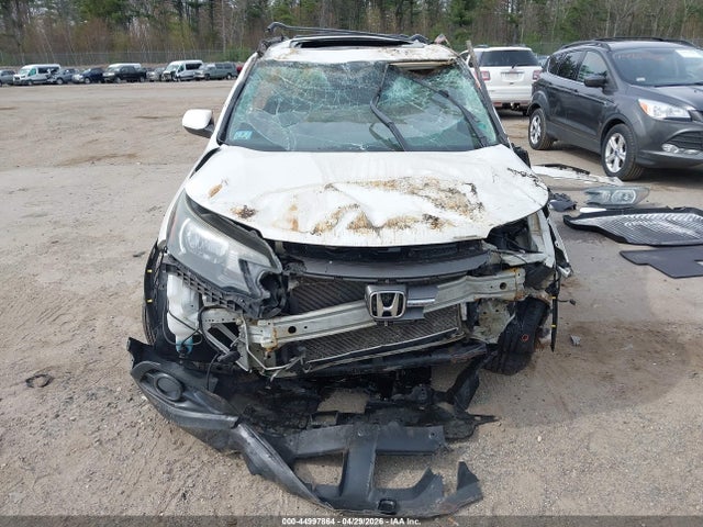 Honda Cr-v Ex-l 2014 5J6RM4H72EL113016 Image 6