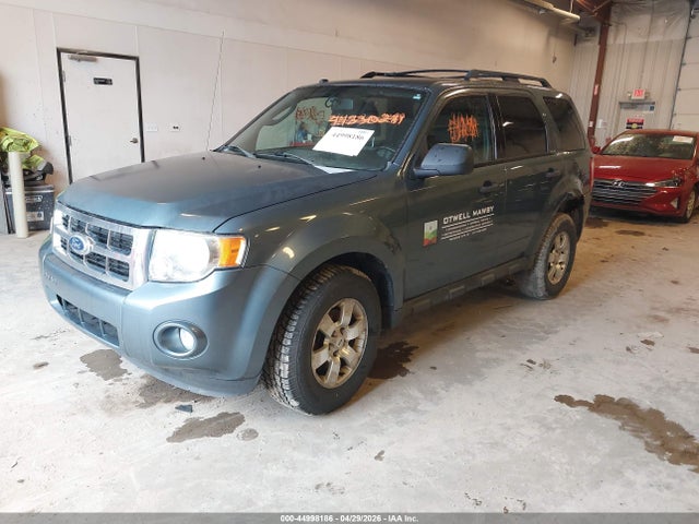 Продаж на аукціоні авто 2010 Ford Escape Xlt, vin: 1FMCU9D70AKC24111, номер лоту: 44998186
