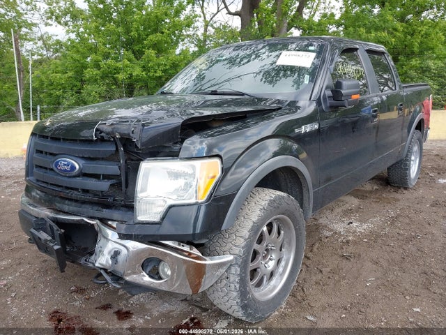 Aukcja sprzedaży 2010 Ford F-150 Fx4, vin: 1FTFW1EV7AFB06639, numer aukcji: 44998272