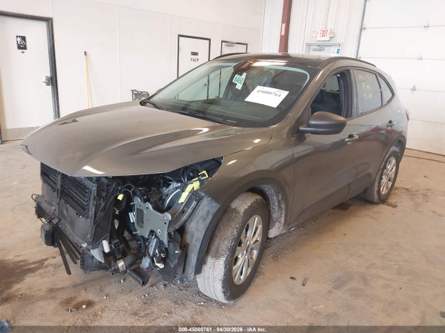Auction sale of the 2025 Ford Escape Active, vin: 1FMCU9GN9SUA07768, lot number: 45000761