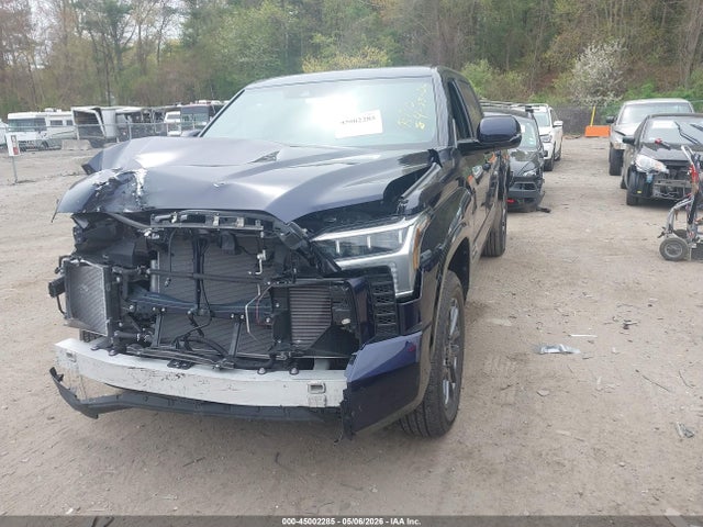 Продажа на аукционе авто 2025 Toyota Tundra Platinum, vin: 5TFNA5DB5SX307041, номер лота: 45002285