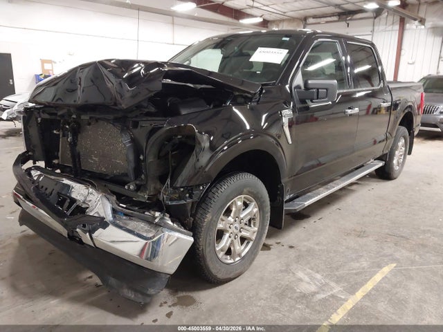 Aukcja sprzedaży 2023 Ford F-150 Xlt, vin: 1FTEW1EP2PKE48190, numer aukcji: 45003559