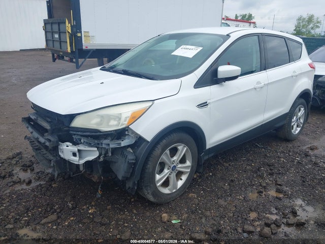 Продаж на аукціоні авто 2015 Ford Escape Se, vin: 1FMCU0G75FUA66996, номер лоту: 45004577