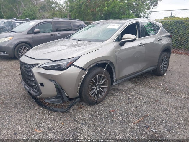 45004729 :رقم المزاد ، 2T2GDCAZ6SC029038 vin ، 2025 Lexus Nx 250 Premium مزاد بيع