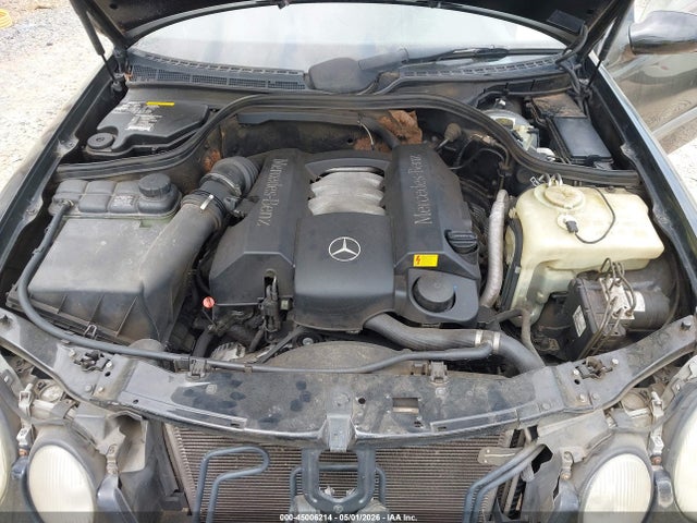 45006214 :رقم المزاد ، WDBLK65G4XT021246 vin ، 1999 Mercedes-benz Clk 320 مزاد بيع