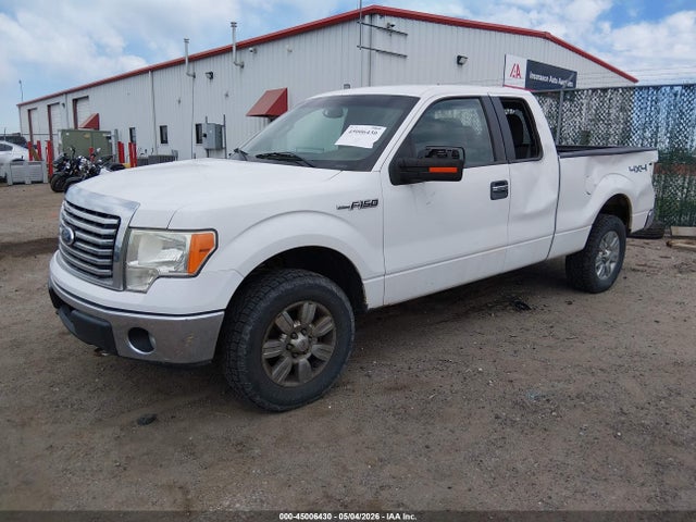 Auction sale of the 2011 Ford F-150 Xlt, vin: 1FTFX1EF1BFD29718, lot number: 45006430