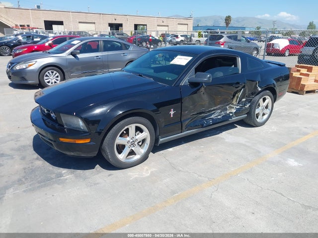 2008 Ford Mustang V6 Deluxe/v6 Premium მანქანა იყიდება აუქციონზე, vin: 1ZVHT80N885111007, აუქციონის ნომერი: 45007980