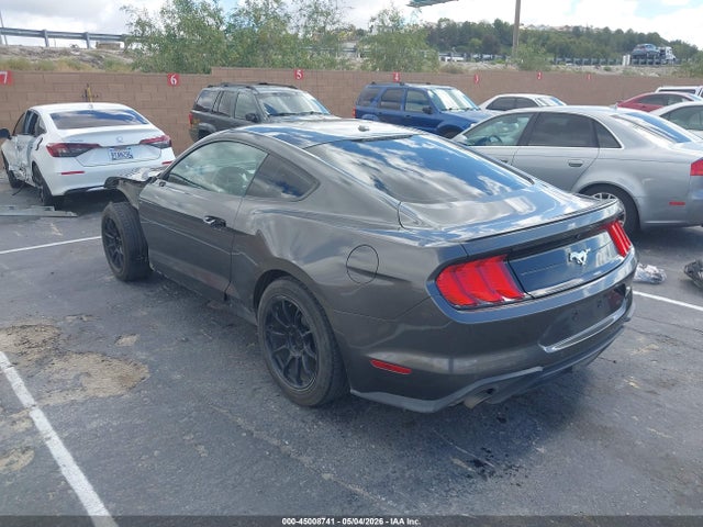 Ford Mustang Ecoboost 2019 1FA6P8TH5K5189830 Image 3