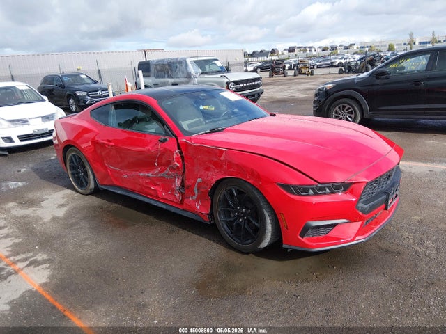 2024 1FA6P8THXR5138088 main image