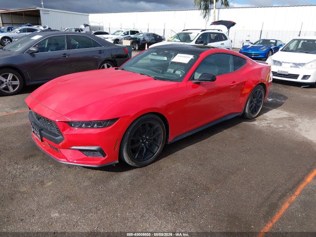 Ford Mustang Ecoboost Fastback 2024 1FA6P8THXR5138088 Image 2