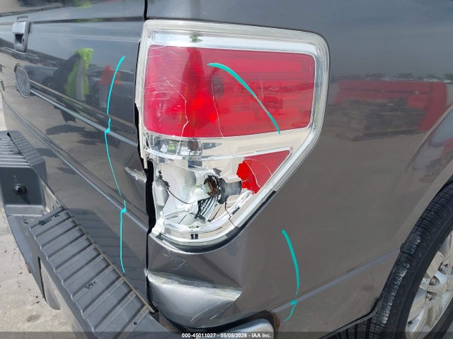 Продажа на аукционе авто 2009 Ford F-150 Stx/xl/xlt, vin: 1FTRX12889FA15321, номер лота: 45011027
