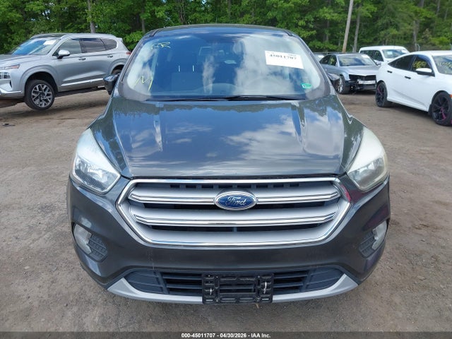 Aukcja sprzedaży 2017 Ford Escape Se, vin: 1FMCU0GD4HUC06898, numer aukcji: 45011707