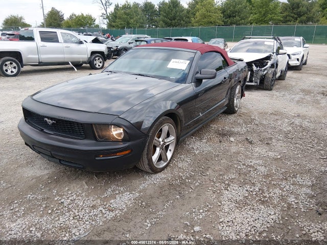 45012374 :رقم المزاد ، 1ZVHT84N485144824 vin ، 2008 Ford Mustang V6 Deluxe/v6 Premium مزاد بيع