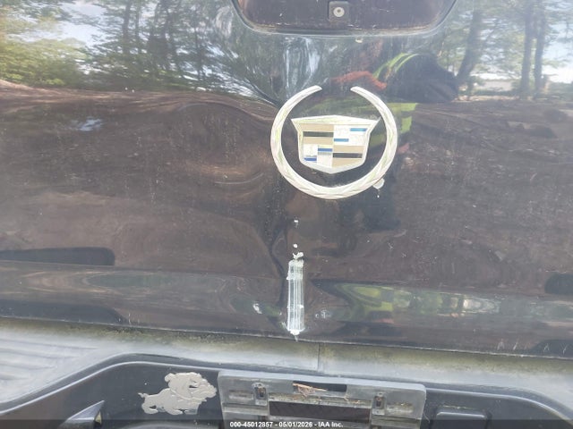 45012857 :رقم المزاد ، 3GYFK22209G194417 vin ، 2009 Cadillac Escalade Ext Standard مزاد بيع