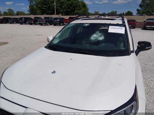 Toyota Rav4 Xle Premium 2021 2T3A1RFV5MW152866 Image 6