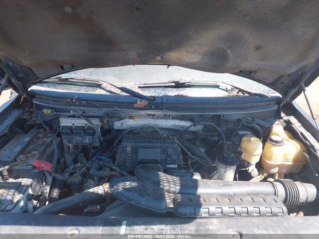 2007 Ford F-150 მანქანა იყიდება აუქციონზე, vin: 1FTPW14537FA44218, აუქციონის ნომერი: 45014663